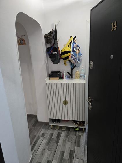 Dristor Vitan, centrala, renovat/mobilat, AC, 2 bai, 2 parcuri, metrou, ParkLake - 14