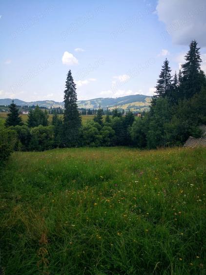 Teren de 50000 mp, în Central