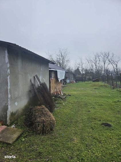 Comuna Valcelele, Strada Mircea cel Batran, Jud. Calarasi - 10