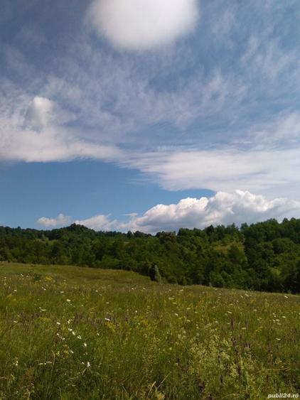 Teren de 3600 mp, în Aluniș
