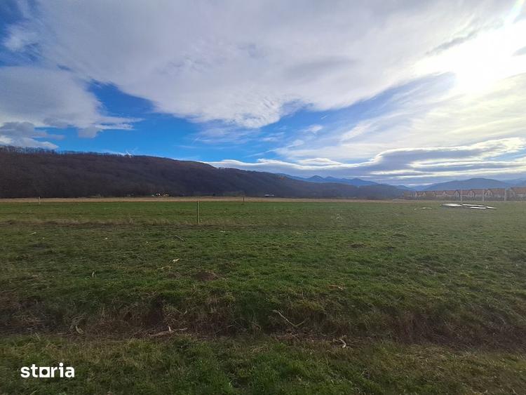 Teren de 500 mp, în Central