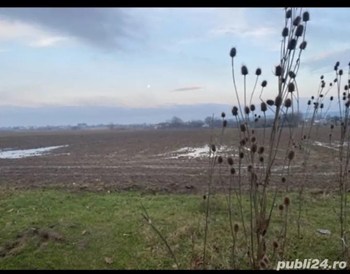 vand teren agricol Lipanesti Prahova - 1