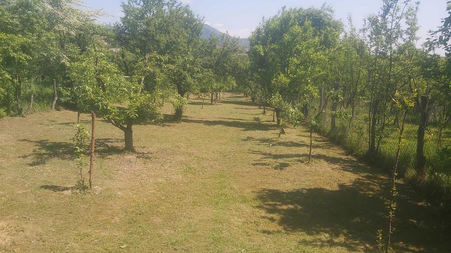 Casă cu 3 camere în Runcu