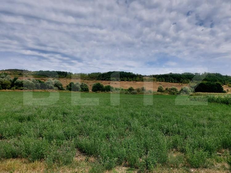 Teren agricol intravilan de 27500 mp, în Răscruci