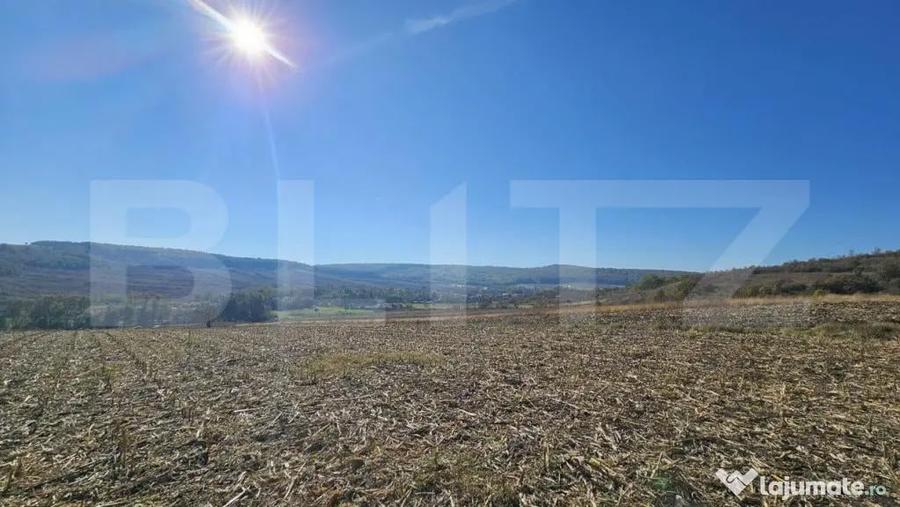 Teren de 17000 mp, în Almașu Mic