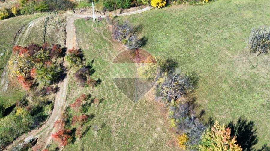 Teren agricol intravilan de 3000 mp, în Sohodol