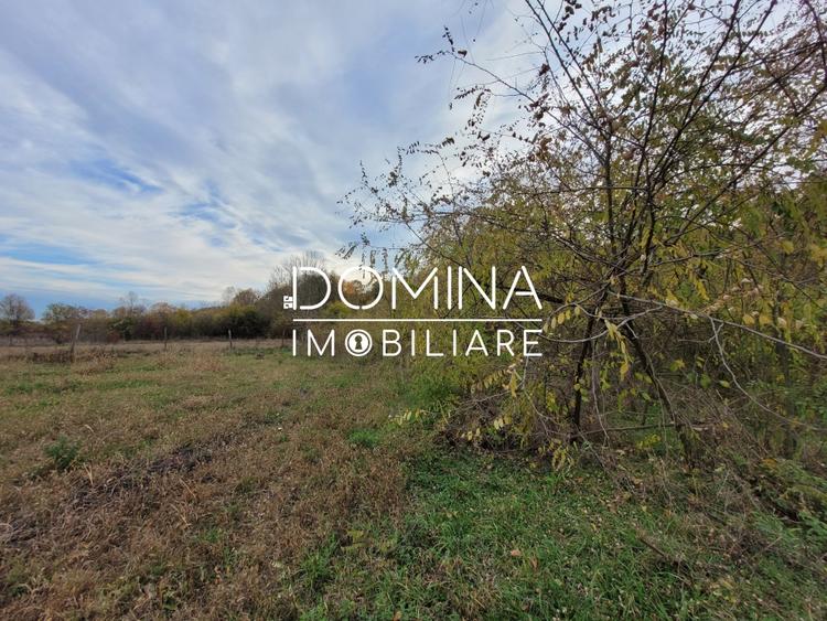 Teren Construcții intravilan de 4967 mp, în Bălești