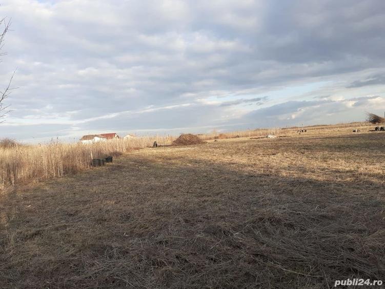 Teren de 1000 mp, în Moșnița Nouă