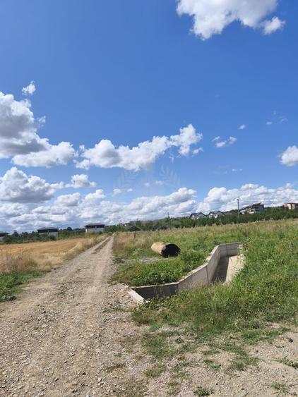 Teren Construcții intravilan de 7100 mp, în Păulești