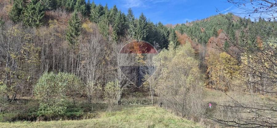 Teren Construcții intravilan de 2800 mp, în Tarcău