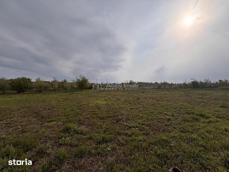 Teren de 793 mp, în Paleu