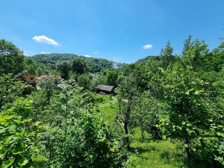 Casă individuală cu 3 camere cu Teren 5000 Mp în Plaiu (Provița de Sus)