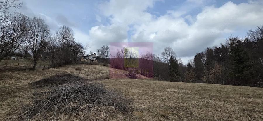 Teren de 2500 mp, în Valea Doftanei