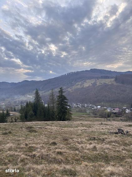 Teren de 1000 mp, în Mălini