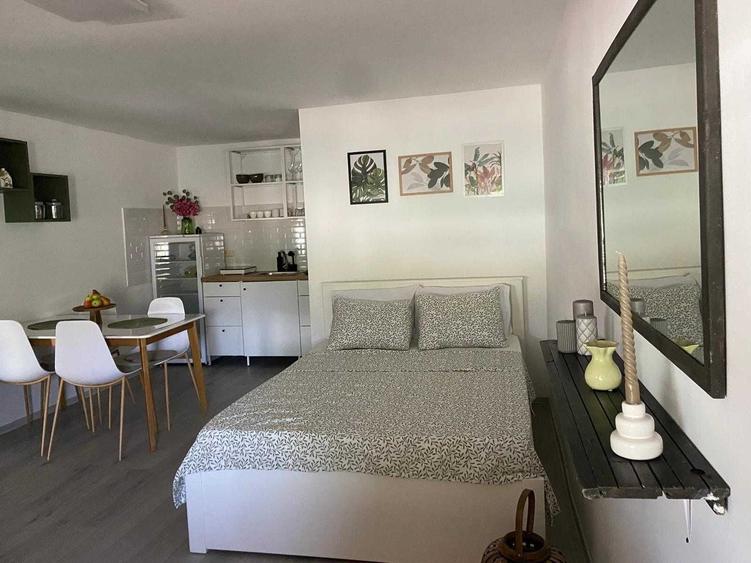 Casă cu 2 camere cu Teren 250 Mp în Somova
