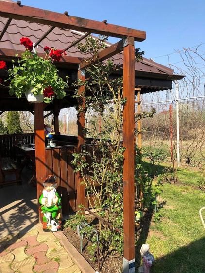 Casă cu 6 camere în Brăniștari