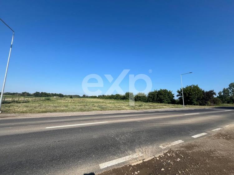 Teren intravilan premium 15.000 mp la DN61 langa Centura G - 4