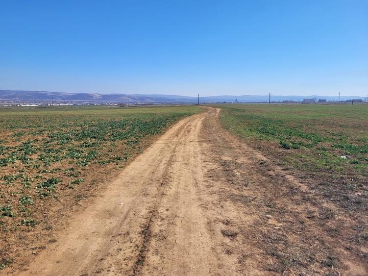 Teren agricol extravilan de 5001 mp, în Șimian