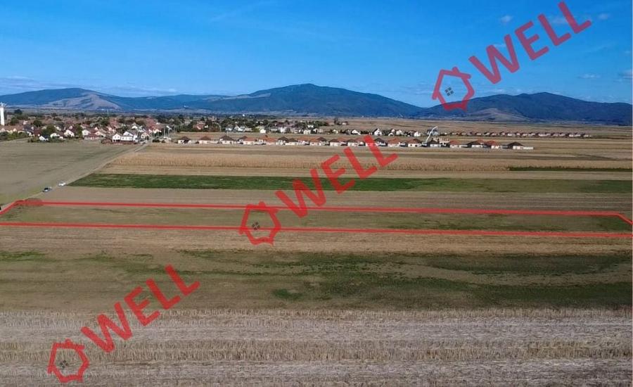 Teren agricol extravilan de 10000 mp, în Prejmer