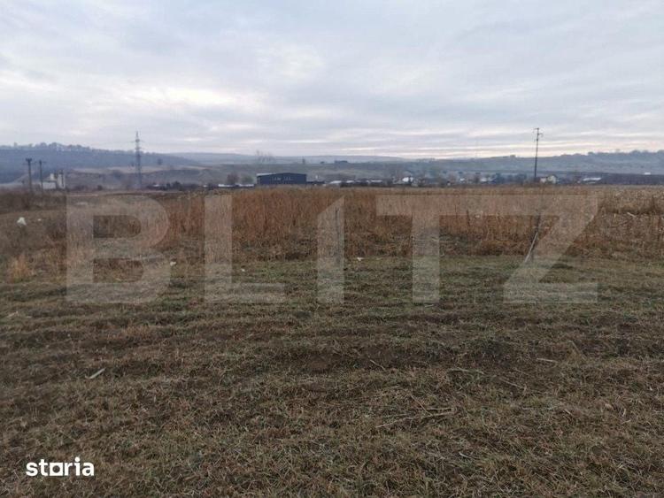 Teren de 5900 mp, în Pătrăuți