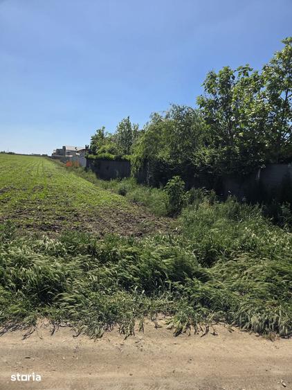Teren de vanzare in Ovidiu, Strada Livezi, 680 mp, deschidere 32 m - 1