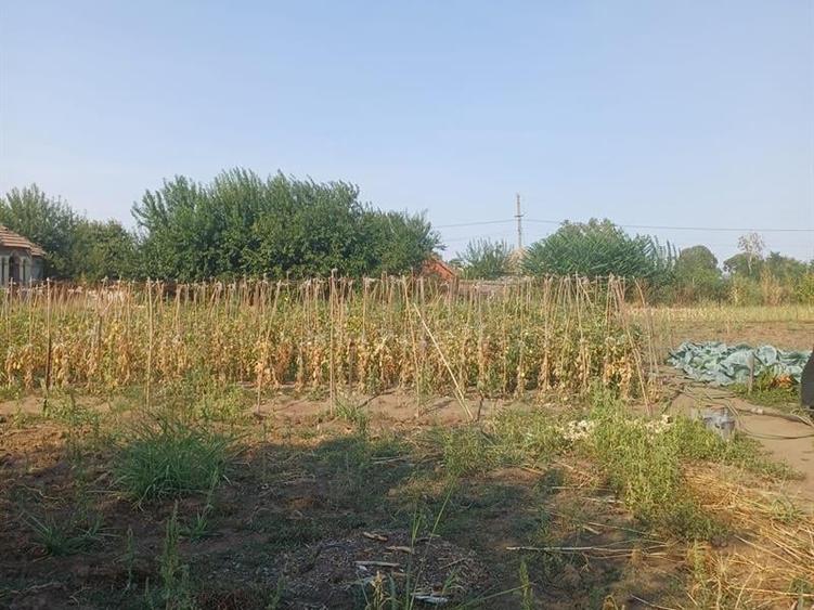 Casă individuală cu 4 camere cu Teren 3000 Mp în Moțăței-Gară
