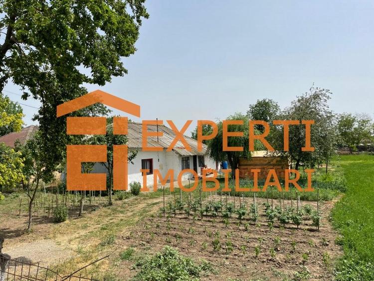 Teren Construcții intravilan de 2581 mp, în Mihail Kogălniceanu