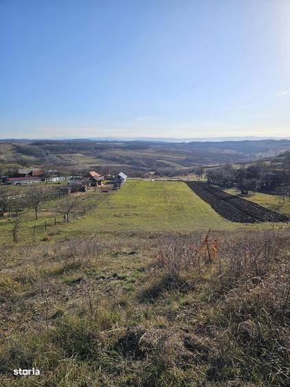 Teren de 5600 mp, în Tileagd