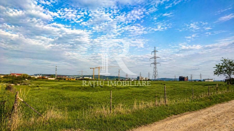 Teren Construcții intravilan de 28933 mp, în Nufărul
