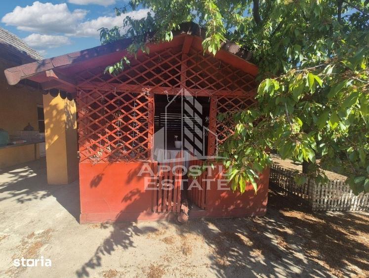 Casă cu 5 camere cu Teren 719 Mp în Periam