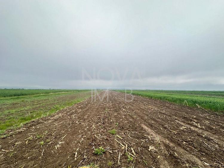 Teren agricol extravilan de 2710 mp, în Gura Râului
