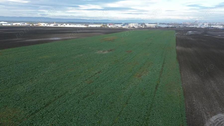 Teren intravilan 2,8 ha industrial deschidere 75 ml soseaua Constantei - 4