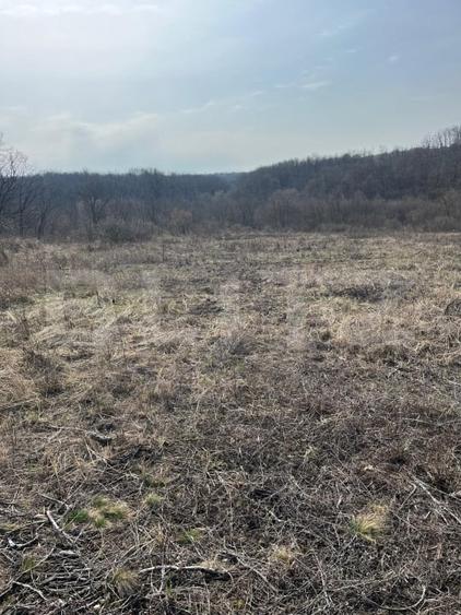 Teren Construcții intravilan de 9783 mp, în Paleu