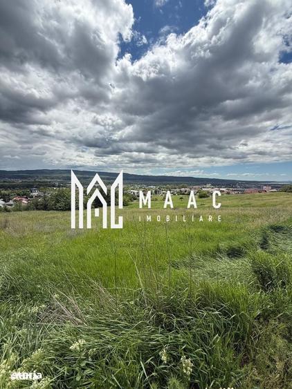 Spațiu comercial, în Troianu