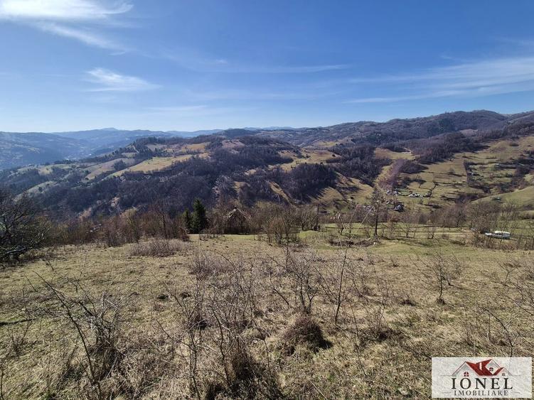 Casă individuală cu 6 camere cu Teren 1043 Mp în Bistra