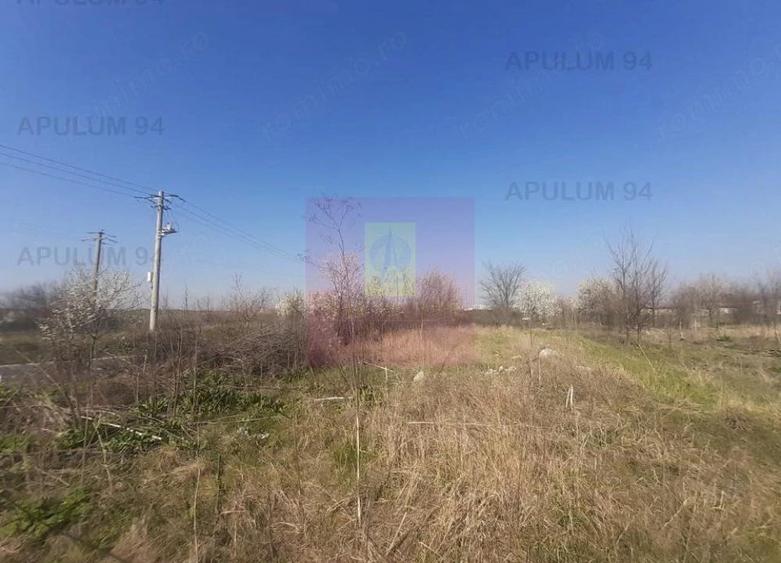 Teren de 4800 mp, în Glina