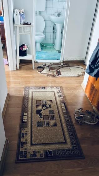 Apartament cu 2 camere semidecomandat, mobilat în Blaj