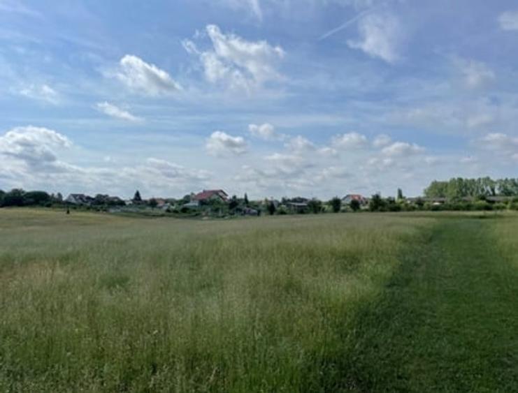 Teren Construcții intravilan de 906 mp, în Sânleani