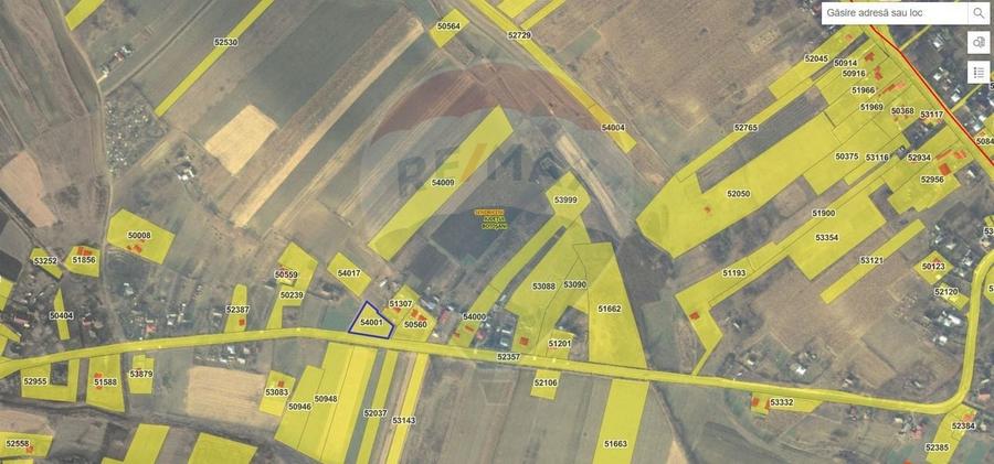 Teren Construcții intravilan de 2036 mp, în Pădureni (Șendriceni)