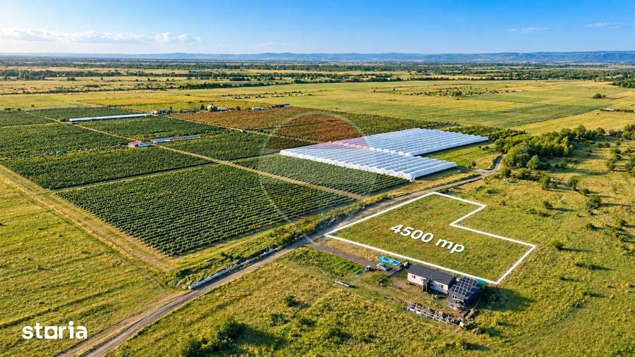 Teren de 4500 mp, în Recea