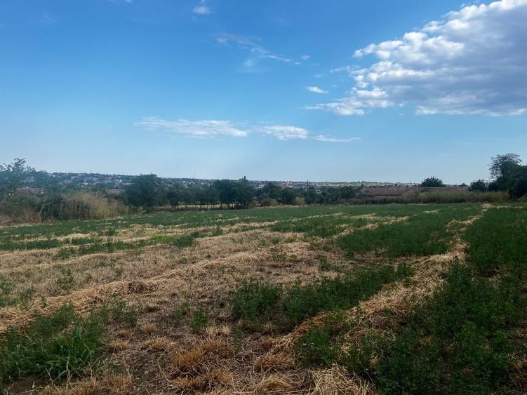 Teren Construcții intravilan de 2500 mp, în Tuzla