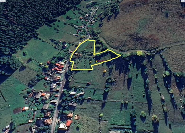 Teren de 8000 mp, în Pojorâta