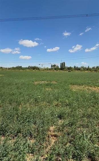 Teren Construcții intravilan de 5000 mp, în Splaiul Unirii