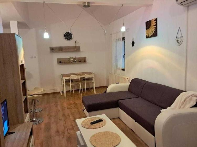 Apartament cu 2 camere semidecomandat în Dosu Bricii