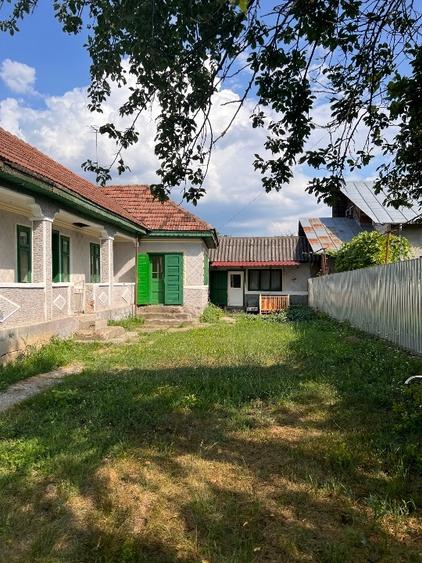 Teren agricol intravilan de 1264 mp, în Borșani