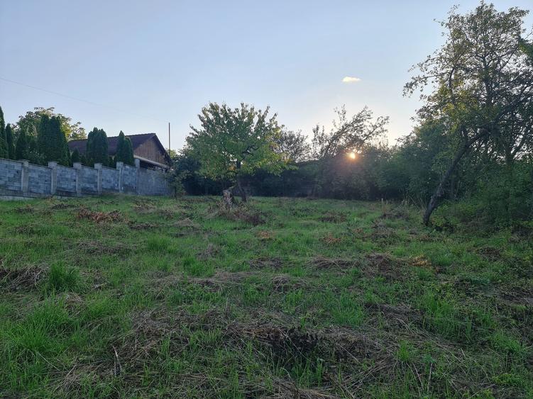 Casă cu 3 camere în Central