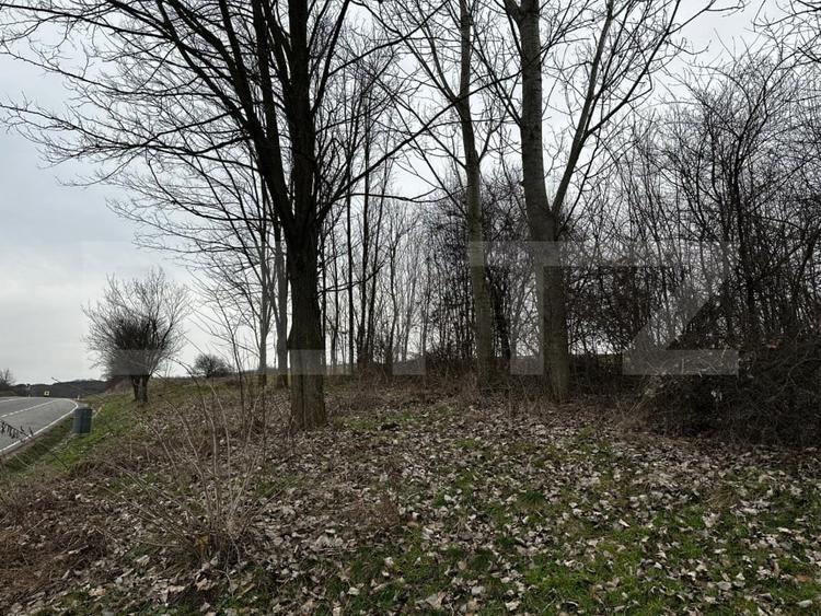 Teren agricol extravilan de 6200 mp, în Răhău