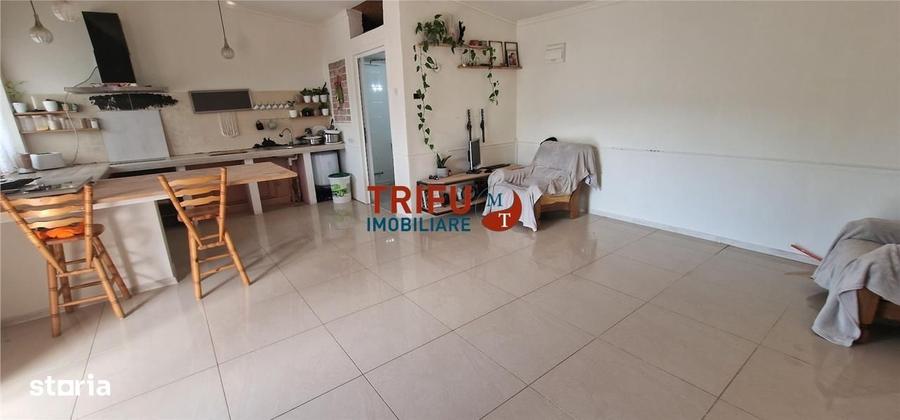 Casă cu 2 camere în Totoi