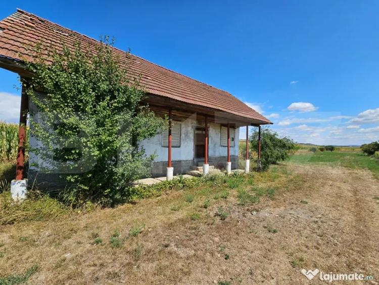 Teren extravilan 2.901 mp cu casa ?i utilita?i Unire - 9
