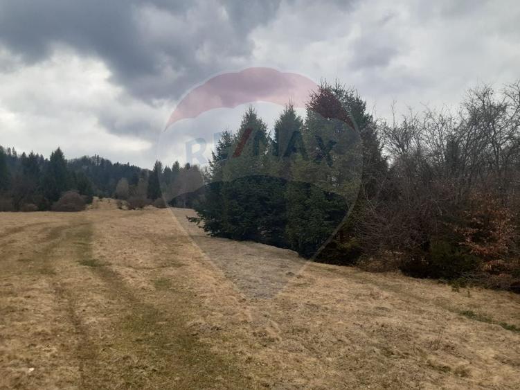 Teren agricol extravilan de 14250 mp, în Nord-Est
